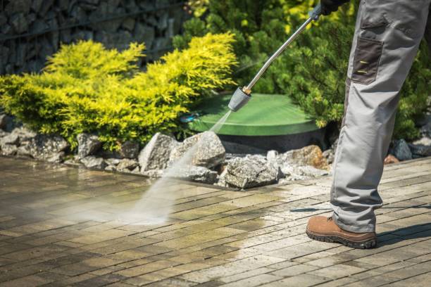 Best Dumpster Area Cleaning  in Davenport, WA