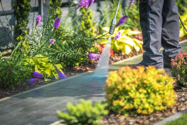 Trusted Davenport, WA  Pressure Washing Services Experts
