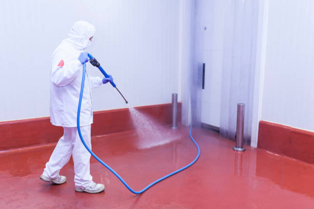 Best House Exterior Washing  in Davenport, WA